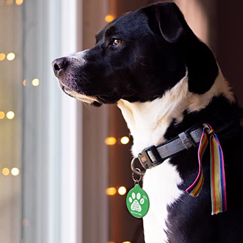 MYLUCKYTAG NFC & QR Code Smart Pet ID Tag Personalized Dog Cat Tag, Online Pet Profile, Pet Location Alert Email, Digital Pet Tag, Quiet Pet Tag, Durable Pet ID, Dog Collar Tag MYLUCKYTAG NFC & QR Code Smart Pet ID Tag Personalized Dog Cat Tag, Online Pet Profile, Pet Location Alert Email, Digital Pet Tag, Quiet Pet Tag, Durable Pet ID, Dog Collar Tag