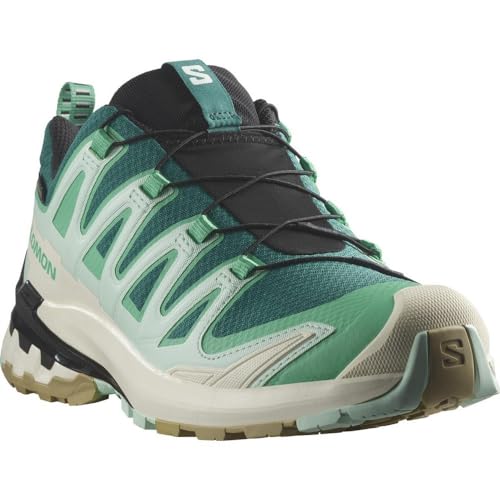  SALOMON Shoes XA PRO 3D V9 GTX W Lake/Electg/Van 000-5,5/38.5
