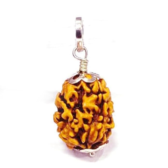 S KUMAR GEMS & JEWELSS Three 3 Mukhi Silver(Pendant/Pandent) Certificate Nepali Rudraksha (Three Mukhi) X-Ray-image-4