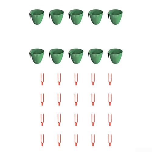 Kit de cultivo de raíz de fresa con 10 tazas de plantación y 20 tenedores optimizados para trasplantar en macetas y espacios de jardín (grande)