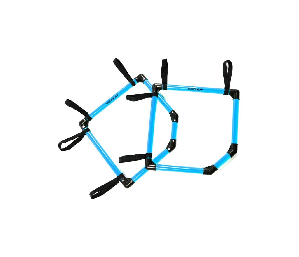 Precisionplay Top Bins Corner Target Blue