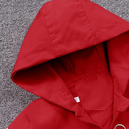 Toddler Cute Bunny Jackets Open Front Zip up Hoodie Coats with Pockets Baby Boys Girls Lightweight Outwear School Tops3