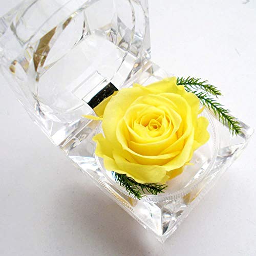 vU[uht[ ~jAW o[Y v[g ̓ tOX\[vt[ o^CMtg aj }`bN jE  l Əj  蕨  Mtg{bNXt ͂Ȃ yellow