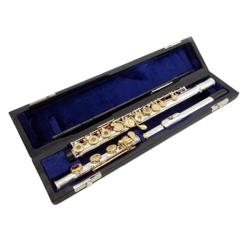Flet poprzeczny Profesjonalny instrument fletowy z 17 klawiszami