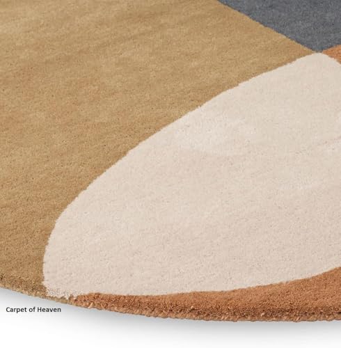 Image of Irregular Shape Handmade Woolen Carpet Multi Colour Size 5x8 feet