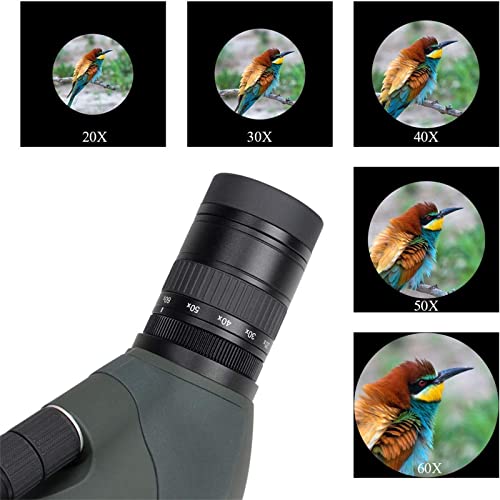 Gosky Newest 20-60X80 Dual Focusing Spotting Scope - Waterproof Hd Optics Zoom Scope With With Carrying Case And Smartphone Adapter For Hunting Bird Watching Target Shooting Astronomy Scenery #TOP3