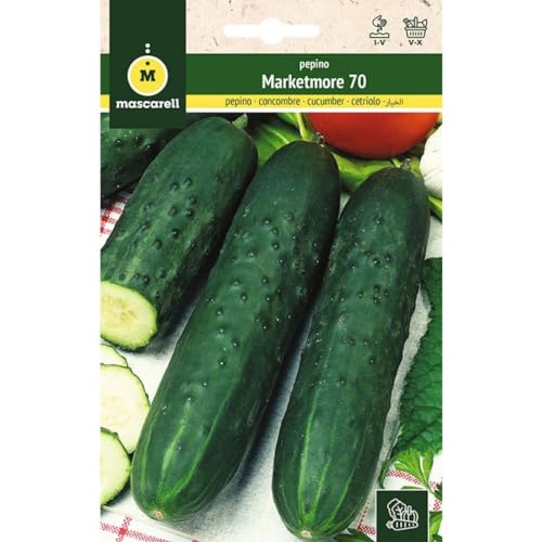 Mascarell Semillas, PEPINO, Semillas Huerto, PEPINO SUPERMARKETER (MARKETMORE 70), Crea tu Propio Huerto Urbano y Cultivo en Casa, Plantas Hortícolas, 5 Gramos