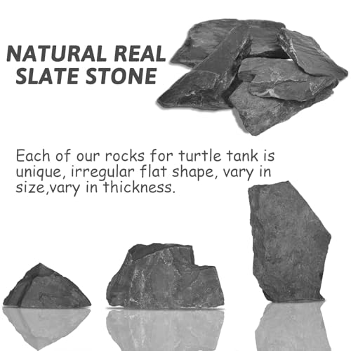 PINVNBY Natural Slate Rock 5lb PH Neutral Aquarium Rocks Aquariums Stones for Aquascaping, Landscaping Model, Reptile & Amphibian Enclosures, Tank Decoration by PINVNBY - Image 5