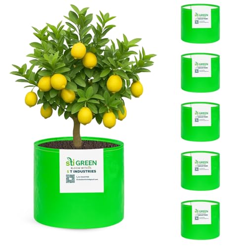 Image of Sustainable 18X15 Inch HDPE Grow Bags (Pack of 6)|260 GSM UV-Resistant Heavy-Duty Reusable Plant Bags for Terrace & Kitchen Gardening|Durable Eco-Friendly Round Bags for Vegetables & Flowers