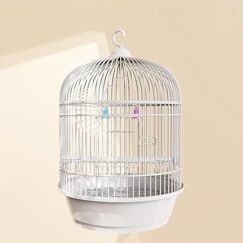 QuirixCeA  ^   Zbg IJ L[X`[  Eh ZLZCCR ϋv   Ƃ肩  _F o[hpi XeX (zCg)