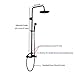 Rozin Bathroom Shower Faucet Set 2 Knobs Mixing 8-inch Rainfall Shower Head + Handheld Spray Oil Rubbed Bronze