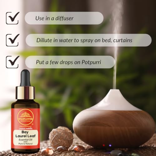 Image of Bay Laurel Leaf Essential Oil (Laurus nobilis) 100% Natural Pure Steam Distilled For Face, Skin, Hair, Body, DIY Candle Making | with Glass Dropper 0.50 Fl Oz (15ml)