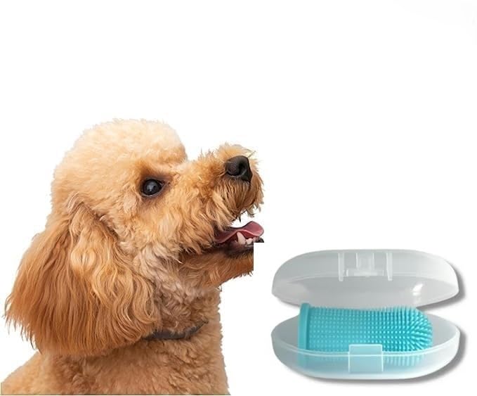 10 X Oral Fur Hygiene PET Dental Finger TOOTHBRUSHES for Your Furry Paw Friend with Storage Cases Ideal for Dogs & Cats Non-Toxic only Silicon 360 Brushing Ability to Remove Build of Plaque Bad Breath