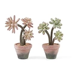 Succulent-a-2pcs