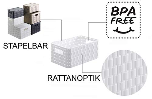 Rotho Country 3er-Set Aufbewahrungsbox 6l in Rattan-Optik, Kunststoff (PP) BPA-frei, weiss, 3 x A5/6l (28.0 x 18.5 x 12.6 cm), Nicht zutreffend