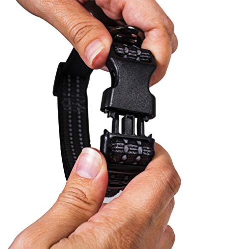 franklin pet supply co - nylon dog collar - reflective comfort - fit - neoprene - adjustable- small