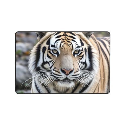 Paillasson tigre noir et blanc antidérapant et lavable pour l'entrée - 5