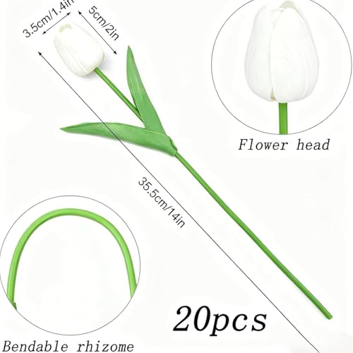 Image of 20Pcs Stems 13.5 Inch White PU Artificial Moisturizing Tulips, Faux White Tulips Flowers for Thanksgiving Christmas Decorations Wedding Home Table Vase Floral Arrangements