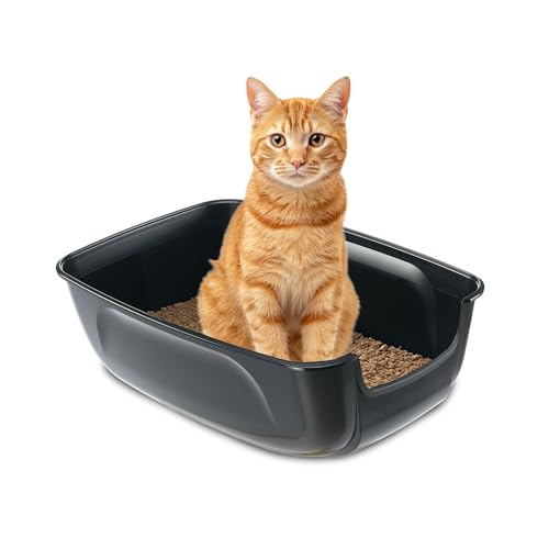 Ferplast Katzenklo XXL, offene Katzentoilette Extra Large, aus Kunststoff, für große Katze L 67 × W 49 × H 24 cm, Schwarz Ferplast Katzenklo XXL, offene Katzentoilette Extra Large, aus Kunststoff, für große Katze L 67 × W 49 × H 24 cm, Schwarz