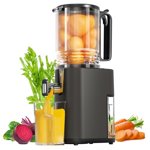 Cold Press Juicer, 5.5inch Wide Feed Chute Juicer Machine, Slow Masticating Juicer for Whole Vegetables & Fruits, Gray