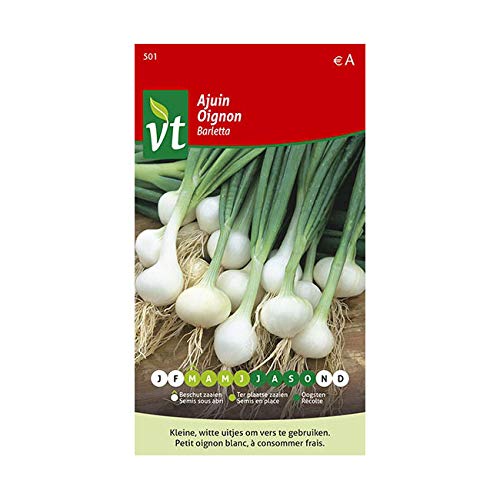 Oignon Barletta Graines - Petit oignon blanc, à consommer frais où à confire Cover