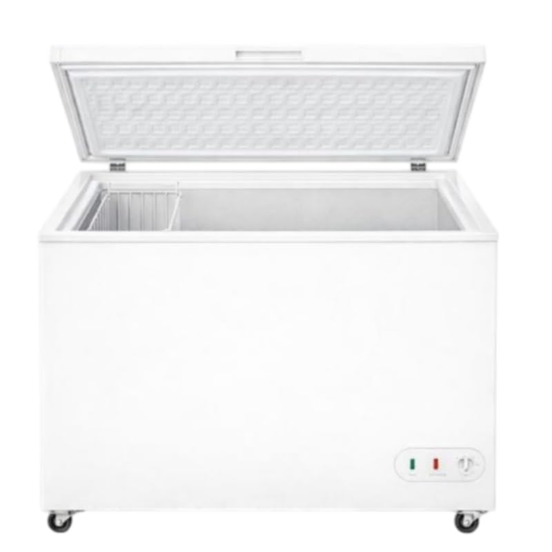 Congelador maletero - 250 litros - Temperatura -18°C - Compacto y espacioso - Ideal para profesionales y particulares