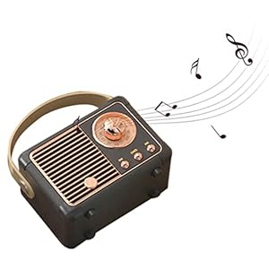Vecksoy Retro luidspreker – luidspreker met kristalhelder stereogeluid | 5.0 heavy bass muziekspeler, 4-5 uur lange speeltijd, outdoor luidspreker voor thuis, kantoor, feest, cadeau