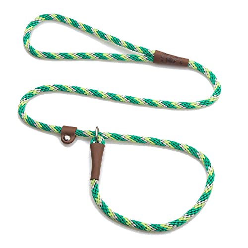 Mendota Pet Slip Leash - Dog Lead and Collar Combo - Made in The USA - Ivy, 3/8 in x 4 ft - for Small/Medium Breeds