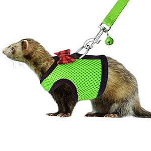 Rypet Small Animal Harness and Leash – Soft Mesh Small Pet Harness with Safe Bell, No Pull Comfort Padded Vest for Small Pet Green S