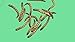 Live Superworms, GUT LOADED !!! (Qty-100) (Large (2+"))