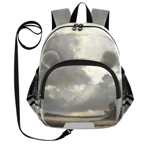 Sky Wetland Landscape Gray Toddler Harness Backpack for Boys Girls 3-6 Years Kids Backpack with Anti Lost Safety Leash Baby Harness Bookbag for Walking Preschool Travel