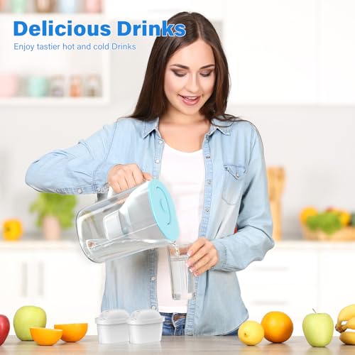 Filtre eau compatible Brita Maxtra Pro pour réduire le calcaire et les odeurs