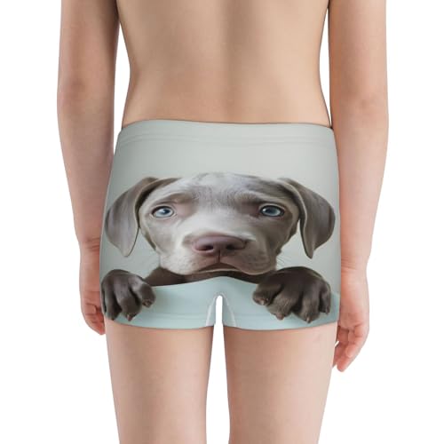 Boys' Cotton Boxer Brief Soft Underwear-Adorable Puppy Portrait3