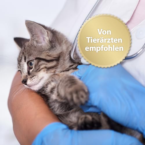 Felisept Home Comfort Beruhigungshalsband - Beruhigungsmittel für Katzen - Katzen Beruhigungsmittel mit natürlicher Katzenminze & ohne Pheromone Katzen