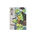 Teenage Mutant Ninja Turtles BST AXN Leonardo IDW Inspired Comic Heroes 5-inch Action Figure