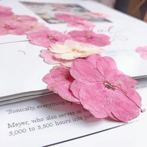 12 flores prensadas secas para manualidades miniatura 2