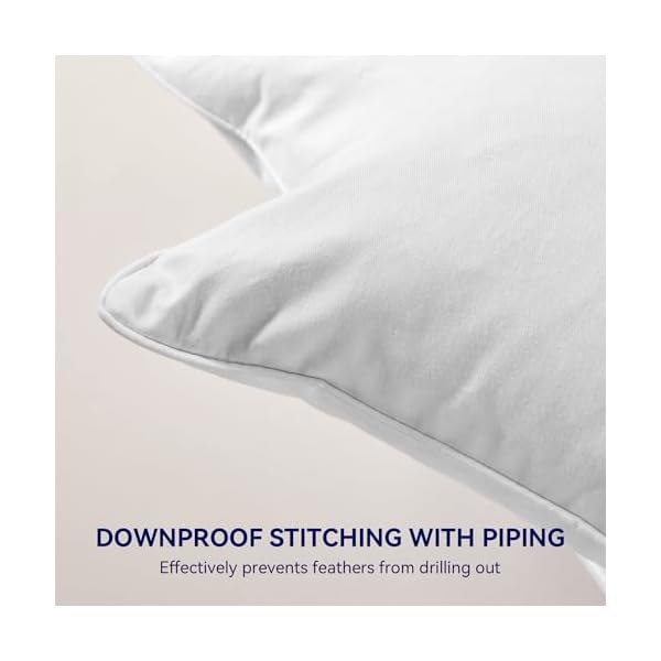   SLEEP-ZONE-Throw-Pillows-Insert-24x24Pack-of-2-White-Down-Feather-Throw-Pillow-Insert-for-Sofa-Bed-and-Couch-Decorative-Pillows-100-Skin-Friendly-Cotton-Cover