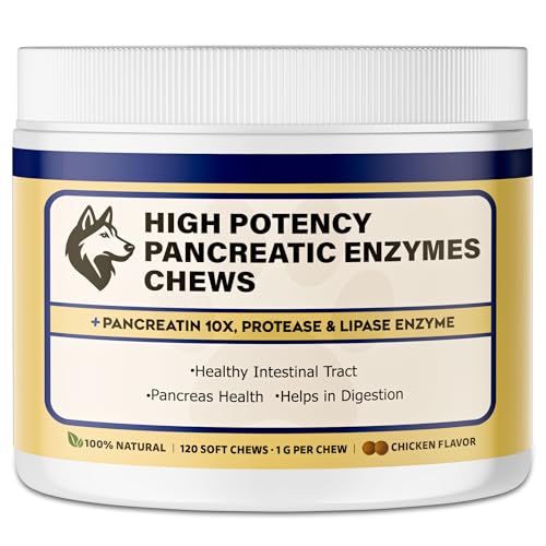 Pancreatic Enzymes for Dogs 10X Pancreatin Digestive Enzyme Powder Dog EPI Supplement for Pancreas Support Helps Restore Weight Improve Digestion & Relieve GI Stress 120 pieces Vet Formulated