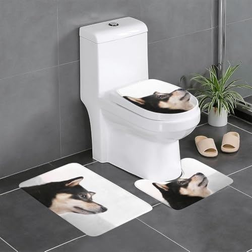 Č   gC}bg 3_Zbg t^Jo[ ӂ}bg z  ~ R hL 􂦂 ӂӂ  v[g 40x60cm