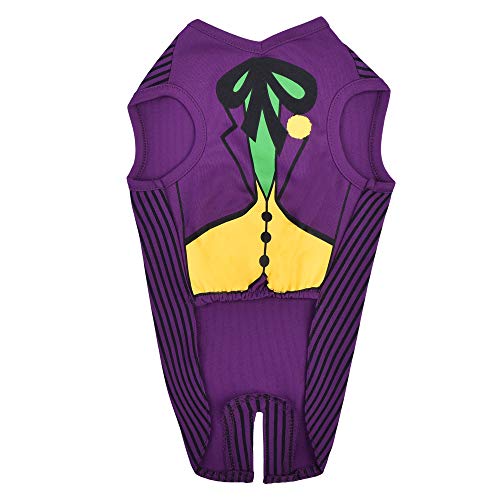 Dc Comics Joker Dog Costume, Small (S) | Superhero Costume For Dogs | Purple Dog Halloween Costumes For Small Dogs, Cute Joker Costume | See Sizing Chart For Details #TOP1