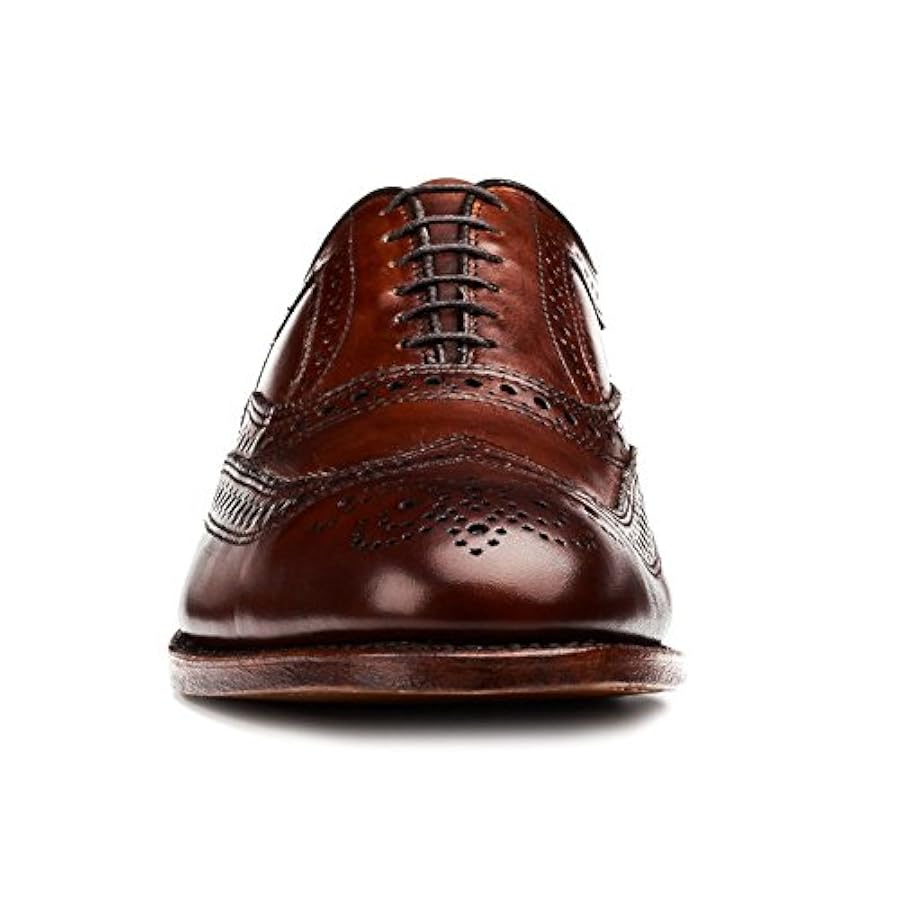 Amazon.com | Allen Edmonds Men's McAllister Shoe, Dark Chili