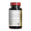 ACAI Berry Extract - Antioxidants Capsules with Acai Berry Immune Booster, Nitric Oxide Superfood, Supports Energy Pills - 1 Bottle 60 Capsules