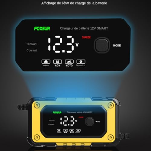 Eventerde - Arrancador de batería portátil - Potente, potente pantalla LCD de 12 V para vehículos, motocicletas, camiones - uso al aire libre, garaje y emergencia en carretera - imagen 8