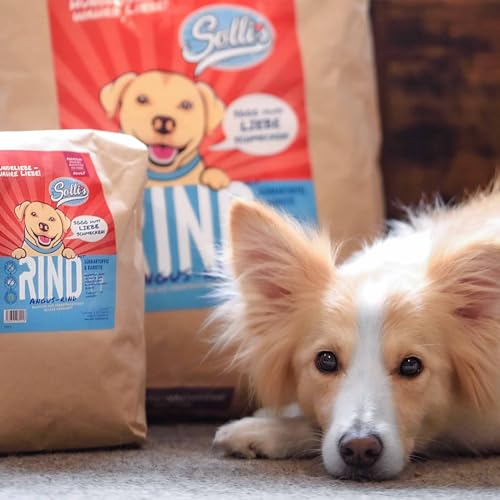 Sollis Hundefutter trocken | Getreidefrei | Zuckerfrei | Angus-Rind | Trockenfutter für ausgewachsene Hunde | 2kg