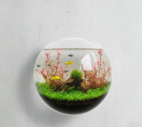 Image of CAS 1L to 14L Glass Fish Bowl 18 INCH (16+ Litre Acrylic) Wall Hanging Fish Bowl