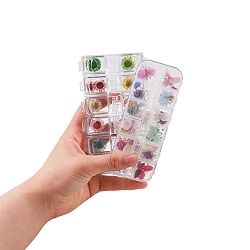 Caja de Flores Secas Naturales para Manualidades miniatura 3