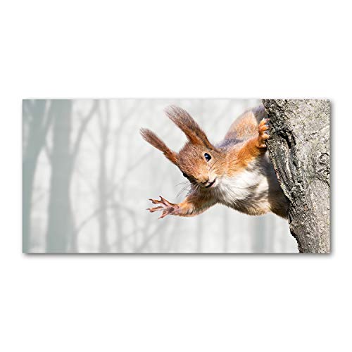 Splashback de cuisine en verre trempé motif animaux orange