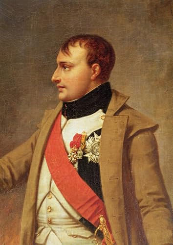 Pintura al óleo clásica de la batalla de Austerlitz, cuadro moderno de Napoleón para hogar