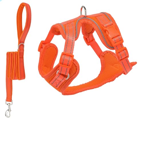 Pettorina Con Guinzaglio Per Gatto Elza Rosso Corallo, Regolabile 22-32 Cm E 27-46 Cm, Lunghezza Guinzaglio 110 Cm