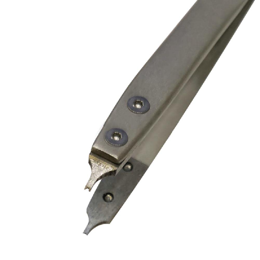 Amazon.com: 1*V Type 7825 Spring Bar Tweezer Lug Remover For